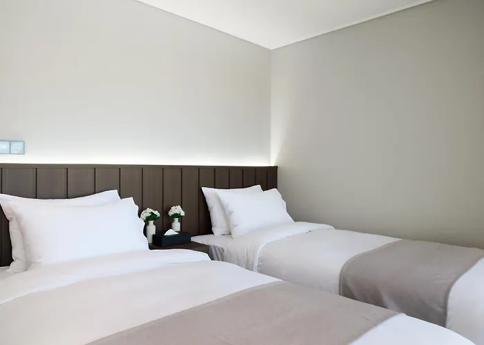 The Hotel Sokcho